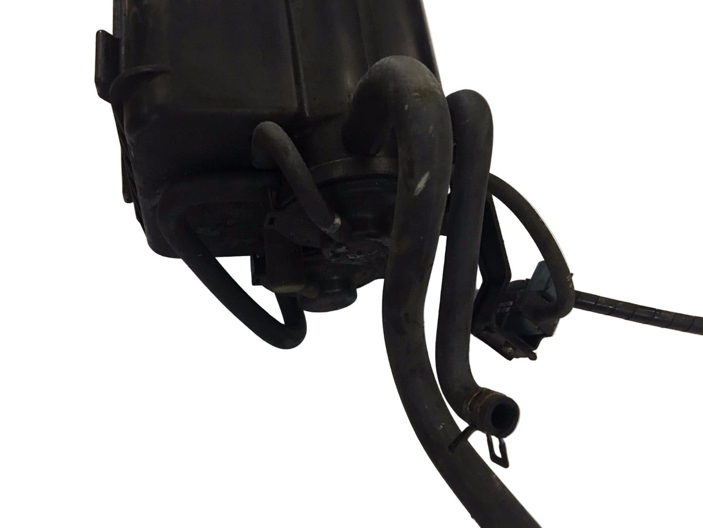 98 99 00 Toyota RAV4 Charcoal Fuel Emissions Gas Vapor Canister 2.0L Genuine OEM